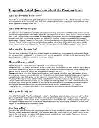 Frequently Asked Questions About the Peruvian Breed