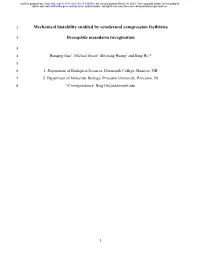 Mechanical Bistability Enabled by Ectodermal Compression Facilitates