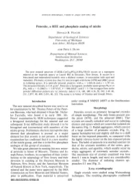 Petersite, a REE and Phosphate Analog of Mixite