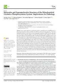 Molecular and Supramolecular Structure of the Mitochondrial Oxidative Phosphorylation System: Implications for Pathology