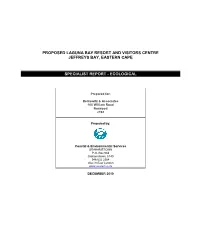 Project Name