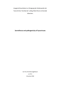 Surveillance and Pathogenicity of Lyssaviruses