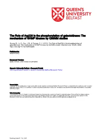 The Mechanism of GHMP Kinases by QM/MM Studies