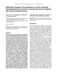 Differential Changes in the Expression of Cyclic Nucleotide Phosphodiesterase Isoforms in Rat Brains by Chronic Treatment with Electroconvulsive Shock