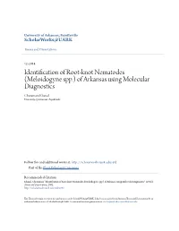 Identification of Root-Knot Nematodes (Meloidogyne Spp.) of Arkansas Using Molecular Diagnostics Churamani Khanal University of Arkansas, Fayetteville