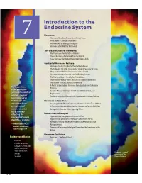 Introduction to the Endocrine System