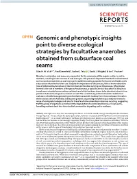 Genomic and Phenotypic Insights Point to Diverse Ecological Strategies by Facultative Anaerobes Obtained from Subsurface Coal Seams Silas H