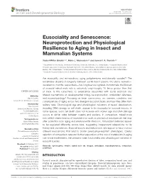 Neuroprotection and Physiological Resilience to Aging in Insect and Mammalian Systems