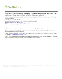 Persistence of Stomatepia Mongo, an Endemic Cichlid Fish of The