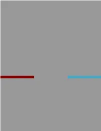 Algorithm Bias Playbook Presentation