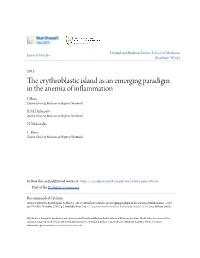 The Erythroblastic Island As an Emerging Paradigm in the Anemia of Inflammation