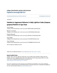 Variation in Aggressive Behavior in Sally Lightfoot Crabs (Grapsus Grapsus) Relative to Age Class