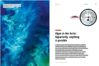 Algae in the Arctic: Apparently, Anything Is Possible