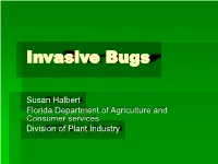 Invasive Hoppers, Psyllids and Aphids
