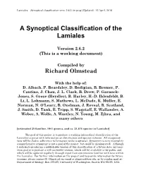 Lamiales – Synoptical Classification Vers