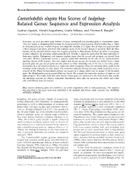 Caenorhabditis Elegans Has Scores of Hedgehog- Related Genes: Sequence and Expression Analysis
