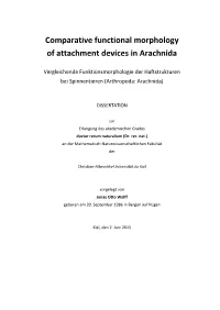 Comparative Functional Morphology of Attachment Devices in Arachnida