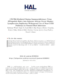 CXCR6-Mediated Simian Immunodeficiency Virus