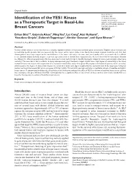 Identification of the YES1 Kinase As a Therapeutic Target in Basal-Like