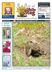 INSIDE This Issue Spring Yet?