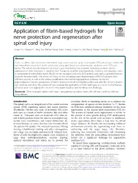 Application of Fibrin-Based Hydrogels for Nerve Protection And