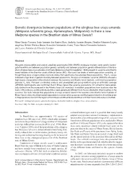 Genetic Divergence Between Populations Of