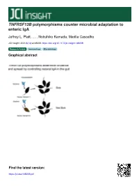 TNFRSF13B Polymorphisms Counter Microbial Adaptation to Enteric Iga