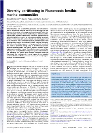 Diversity Partitioning in Phanerozoic Benthic Marine Communities
