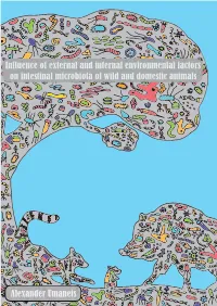 Influence of External and Internal Environmental Factors on Intestinal Microbiota of Wild and Domestic Animals A