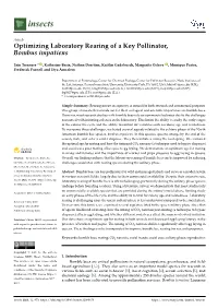Optimizing Laboratory Rearing of a Key Pollinator, Bombus Impatiens