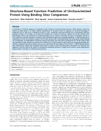 Structure-Based Function Prediction of Uncharacterized Protein Using Binding Sites Comparison