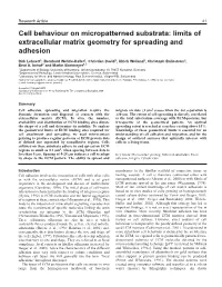 Limits of Extracellular Matrix Geometry for Spreading and Adhesion