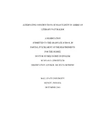 Alternative Constructions of Masculinity in American