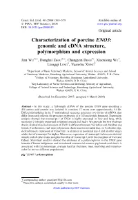 Characterization of Porcine ENO3: Genomic and Cdna Structure, Polymorphism and Expression