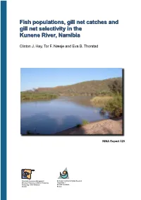 Fish Populations, Gill Net Catches and Gill Net Selectivity in the Gill Net Selectivity in The