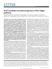 RAP2 Mediates Mechanoresponses of the Hippo Pathway Zhipeng Meng1, Yunjiang Qiu2,3, Kimberly C