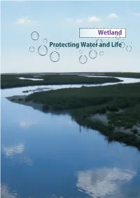 Chapter 4 Wetlands – Protecting Water and Life