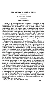 THE ANDEAN SPECIES of PILEA by Ellsworth P. Killip INTRODUCTION