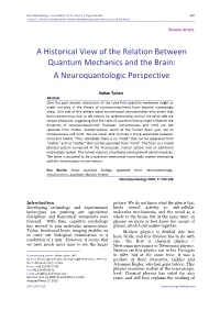 A Historical View of the Relation Between Quantum Mechanics and the Brain