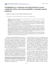 Establishment of a Continuous Untransfected Human Corneal Endothelial Cell Line and Its Biocompatibility to Denuded Amniotic Membrane