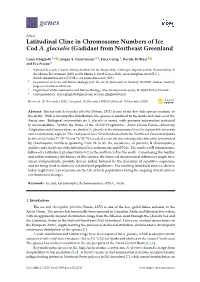 Latitudinal Cline in Chromosome Numbers of Ice Cod A