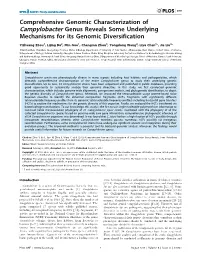 Comprehensive Genomic Characterization of Campylobacter Genus Reveals Some Underlying Mechanisms for Its Genomic Diversification