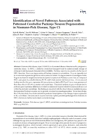 Identification of Novel Pathways Associated with Patterned