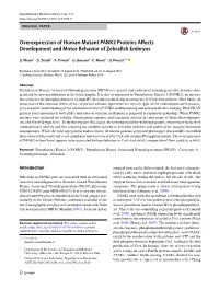Overexpression of Human Mutant PANK2 Proteins Affects Development and Motor Behavior of Zebrafish Embryos