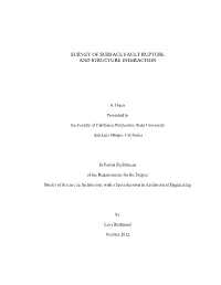 Survey of Surface Fault Rupture and Structure Interation