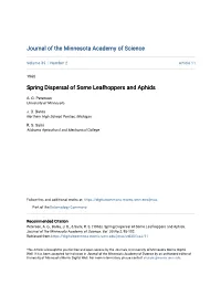 Spring Dispersal of Some Leafhoppers and Aphids