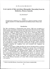 Adec Preview Generated PDF File