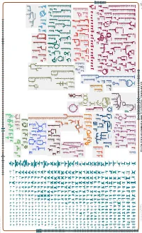 Generated by SRI International Pathway Tools Version 25.0 on Mon