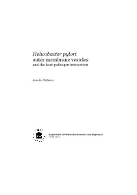 Helicobacter Pylori Outer Membrane Vesicles and the Host-Pathogen Interaction
