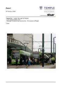 SEA Environmental Report